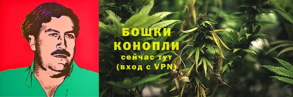 индика Покровск
