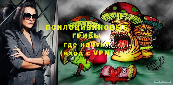 индика Покровск